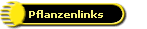 Pflanzenlinks